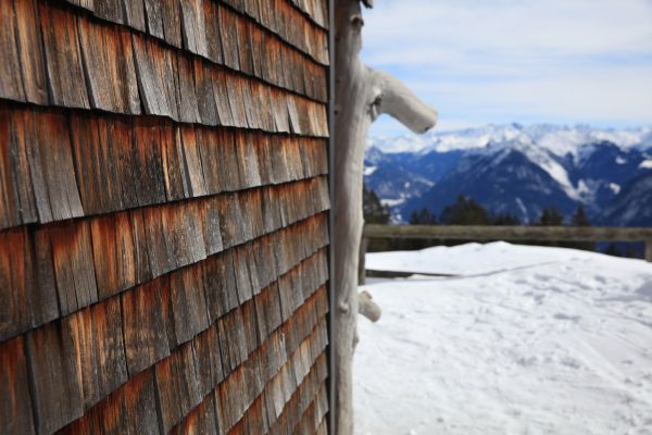 Cedar Siding Repair in Newark