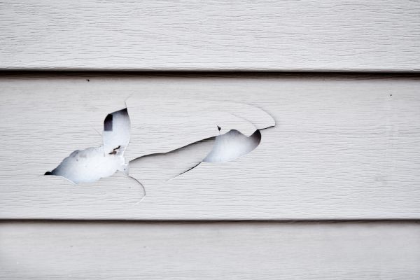 Siding Leak Repair in Newark