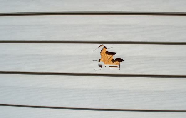 Siding Hole Patching in Newark